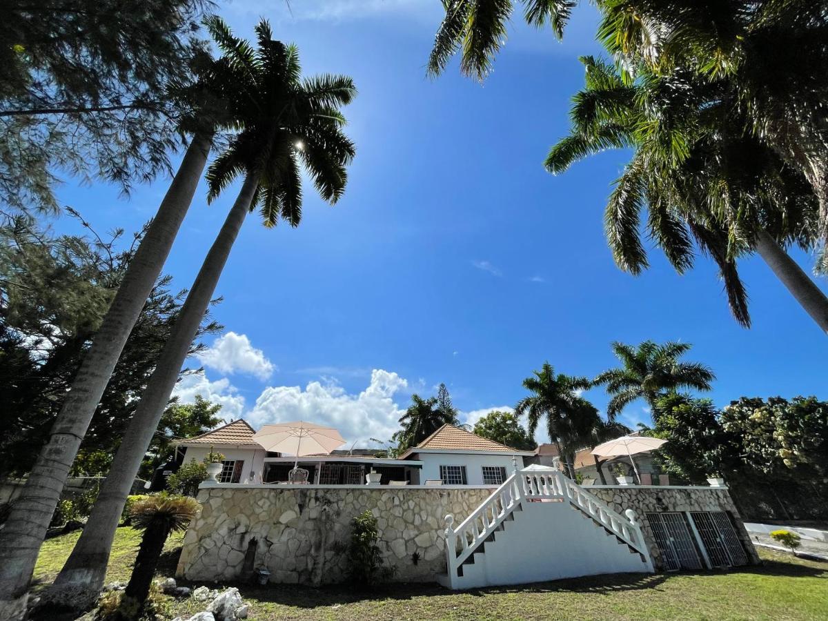 The Lodge @ Peaceful Palms Montego Bay Exterior photo