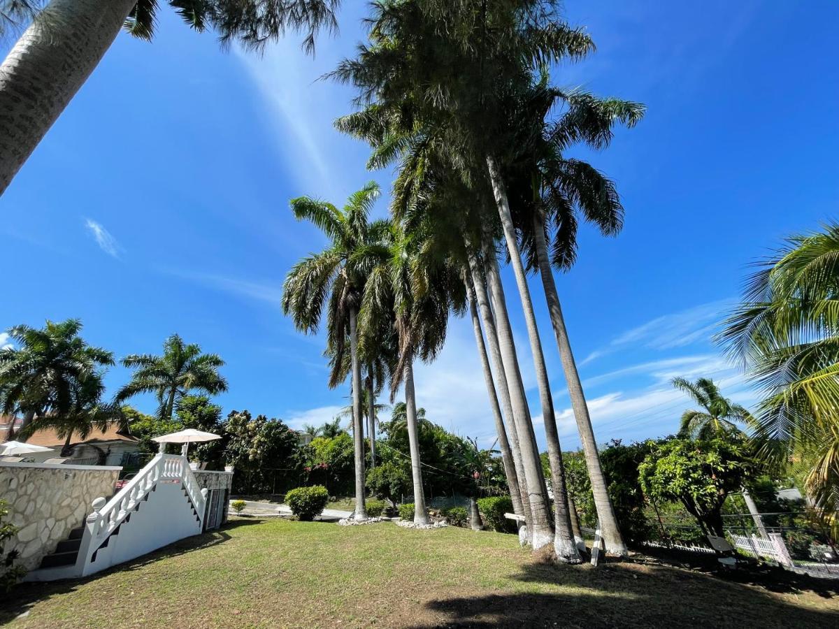 The Lodge @ Peaceful Palms Montego Bay Exterior photo
