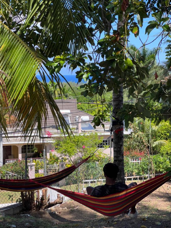 The Lodge @ Peaceful Palms Montego Bay Exterior photo