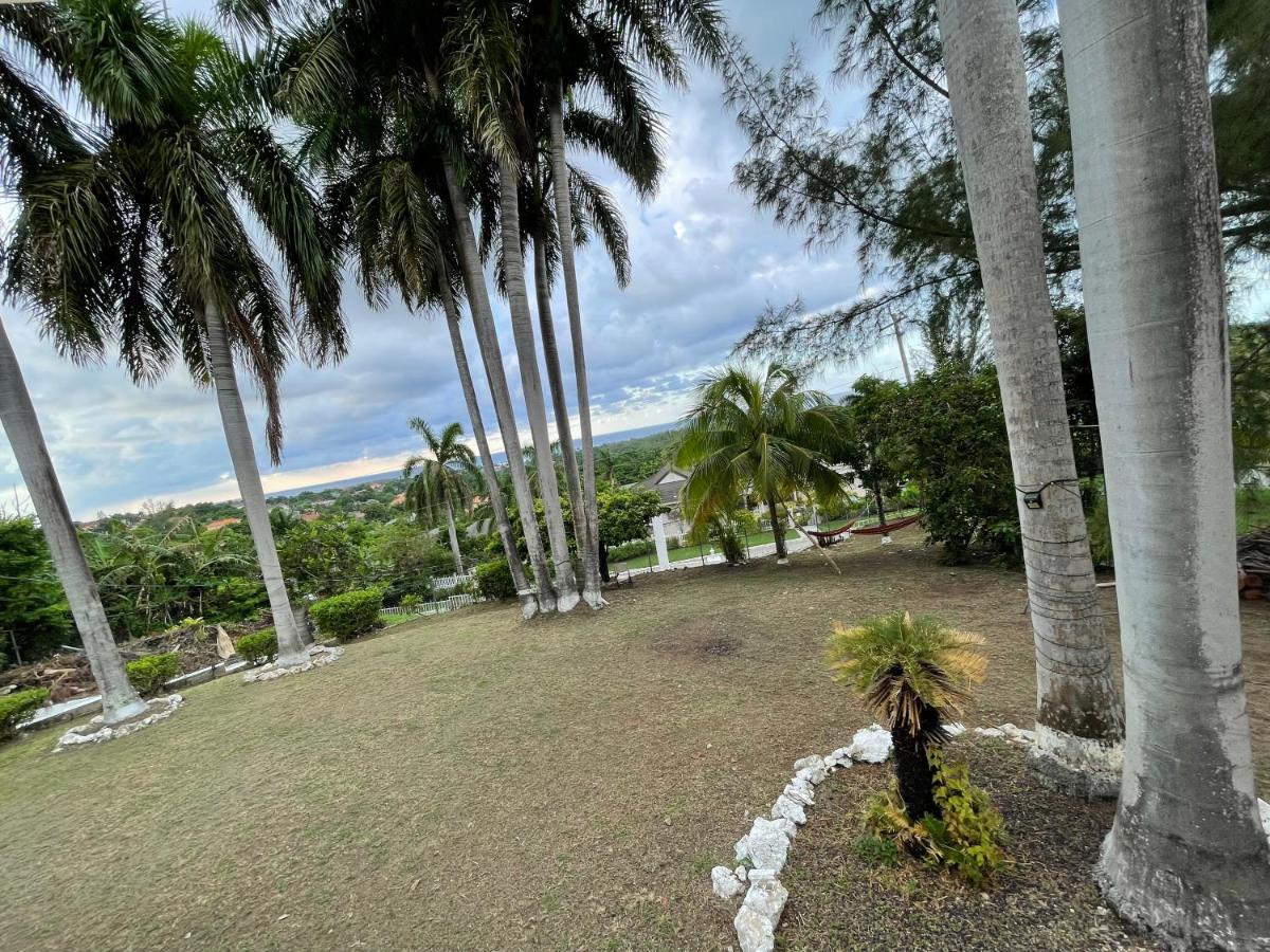 The Lodge @ Peaceful Palms Montego Bay Exterior photo