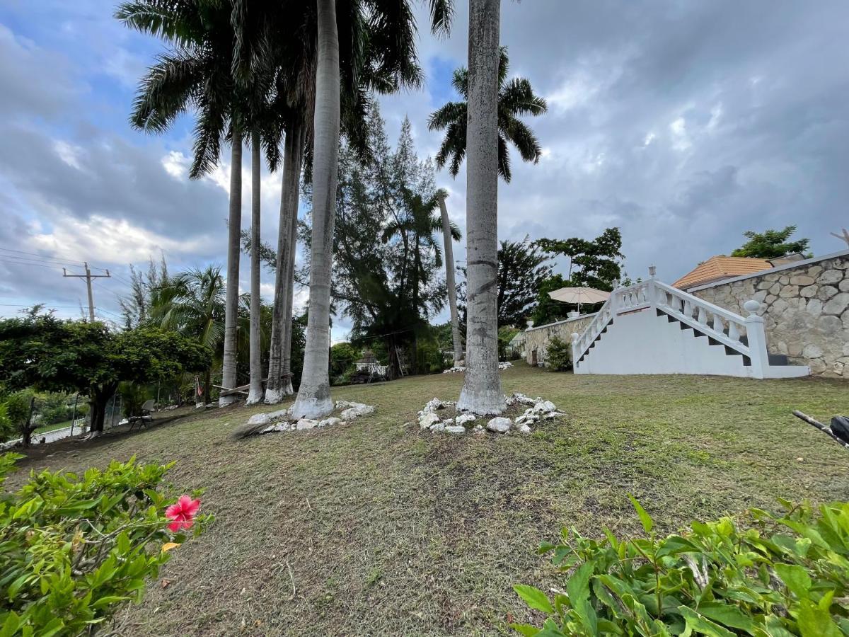 The Lodge @ Peaceful Palms Montego Bay Exterior photo